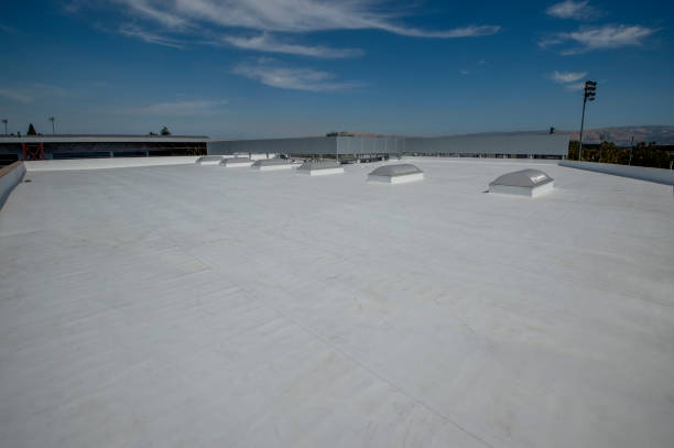 Best Roof Maintenance and Cleaning  in Rush City, MN